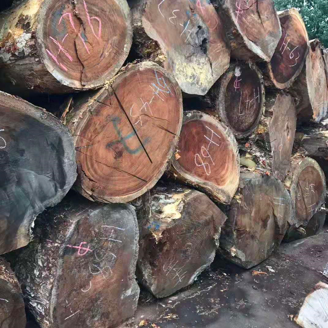 批发零售南美琥珀木 胡桃木 原木板材 雨木毛板大板家具料