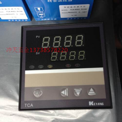 科洋智能温度调节仪TCA-6000系列 TCA-6302PC温控仪器Pt100分度号