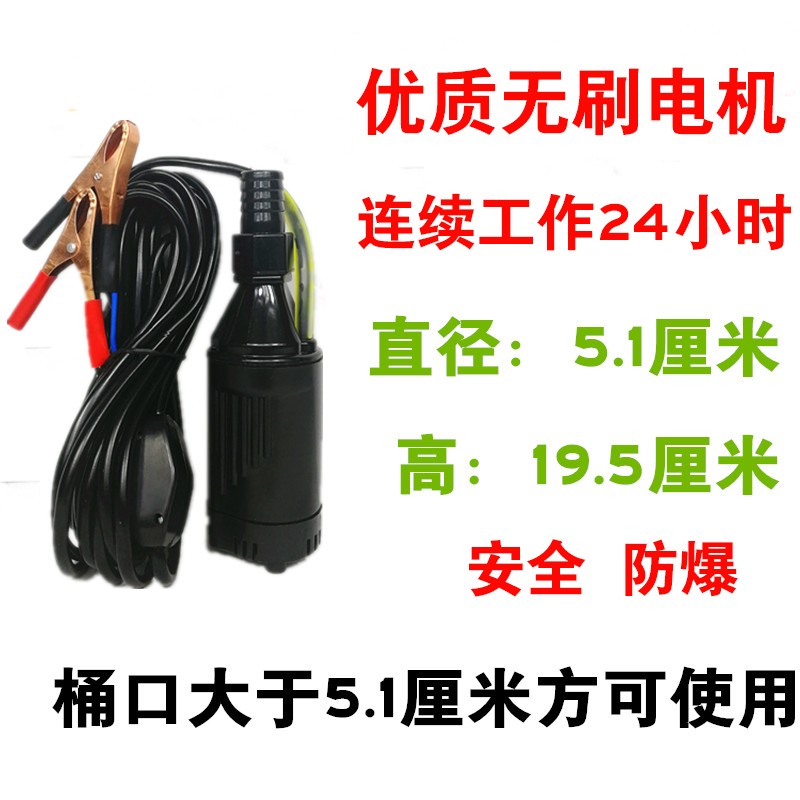 无刷电机抽油泵12V24V220V电动小型潜水泵抽油机汽油泵抽油器水泵