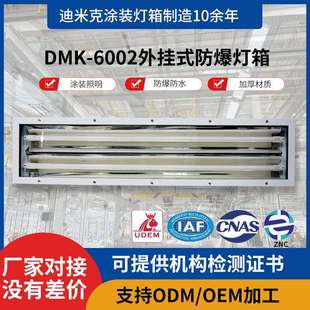 工业灯无尘车间照明灯箱 防爆灯箱涂装 DMK 6002B外挂式