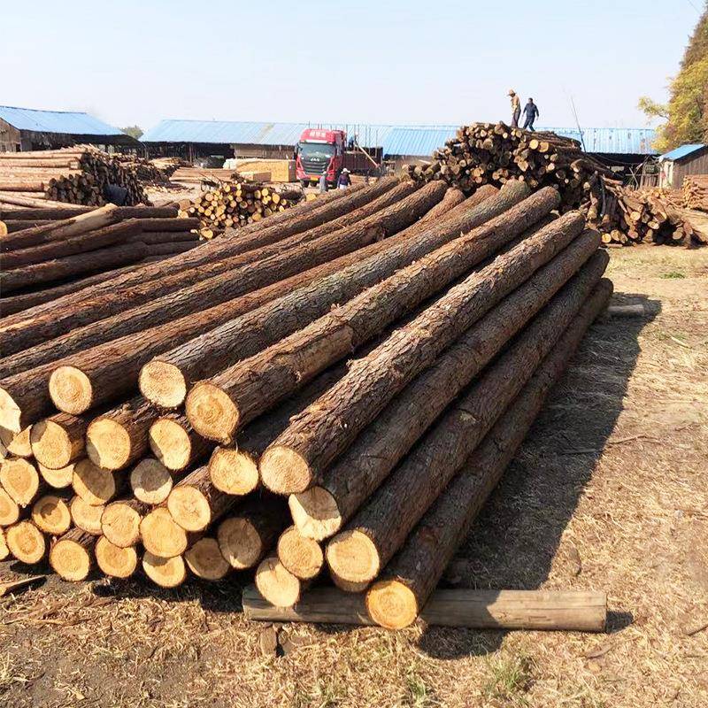 杉木原木景观装修工地河堤汛用削尖打桩防无品牌/桩木桩现货木直