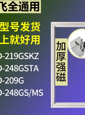 适配新飞冰箱BCD-219GSKZ 248GSTA 209G 248GS/MS门密封条胶条圈