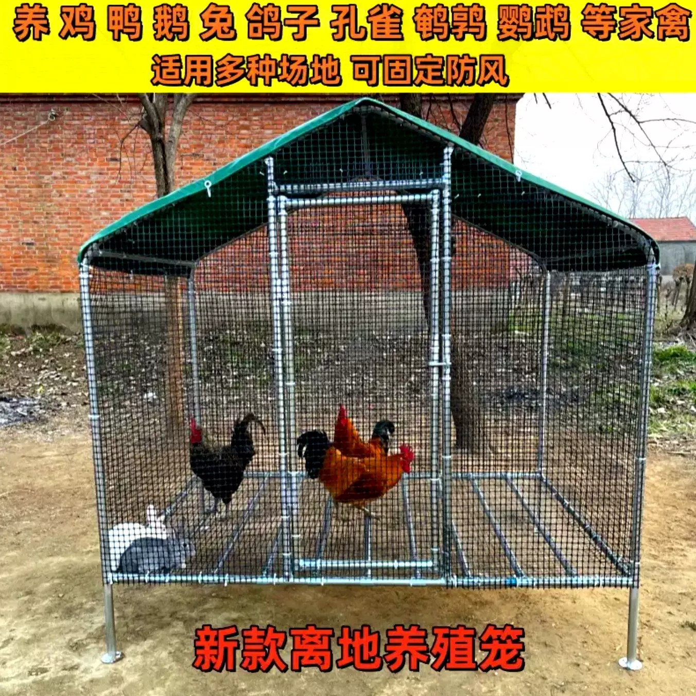 鸡笼户外家用大号养鸡养殖鸡棚大型家禽鸽笼防雨鸡舍搭建加高离地