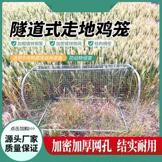 隧道式走地鸡笼散养隧道农场户外溜达鸡笼子庭院家用铁网鸡笼兔笼图片