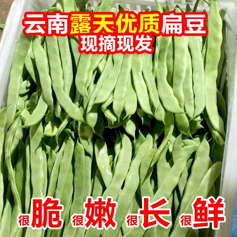 云南露天扁豆新鲜蔬菜刀豆9斤豆角脆嫩长豆角芸豆荷兰无筋豆农家