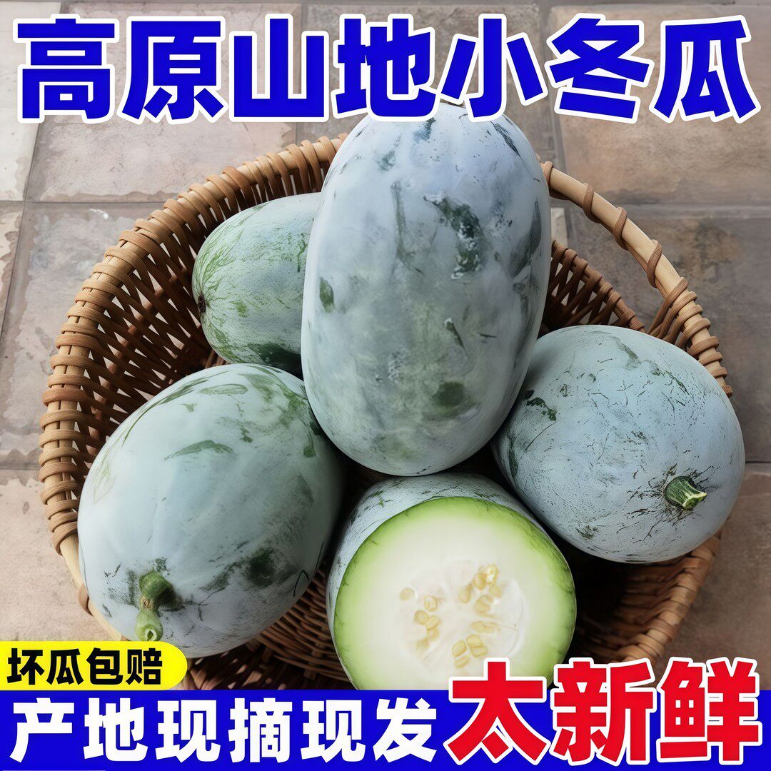 顺丰 小香冬瓜云南新鲜迷你当季小长节白冬瓜翠玉嫩农家蔬菜包邮