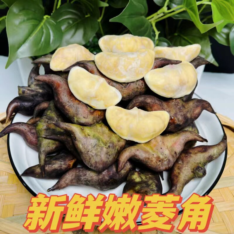新鲜菱角现摘生吃脆甜水果凌角湖南老嫩牛角生鲜蔬菜即食熟吃粉糯