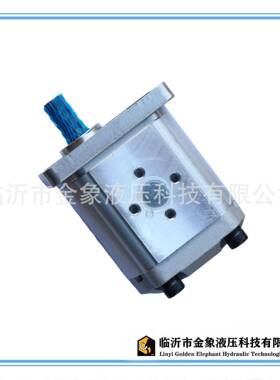 液压齿轮泵CBN-E-F304花键306平键310-314-316-320-325左右旋两用