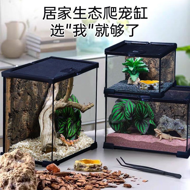 玻璃饲养箱爬虫缸雨林爬宠陆龟守宫蜥蜴角蛙蜘蛛甲虫宠物蛇生态缸
