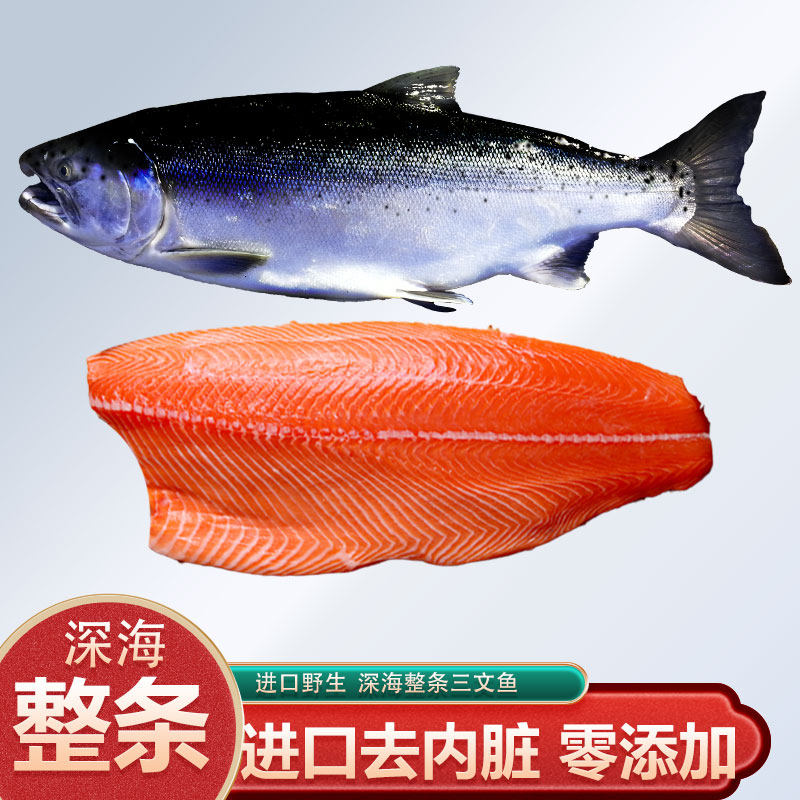 进口三文鱼整条去内脏零添加新鲜冷冻刺身级生吃三文鱼整条深海鲜