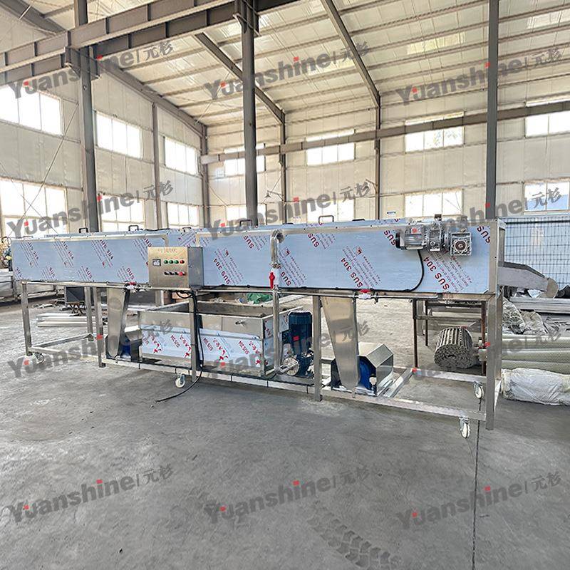 连续式桃子清洗机黄桃平行毛辊清洗机水蜜桃高压喷淋清洗机