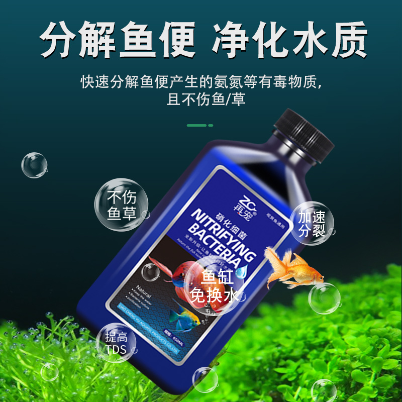 硝化鱼缸用净水剂水质稳定剂水族鱼药生物活性消化菌乌龟