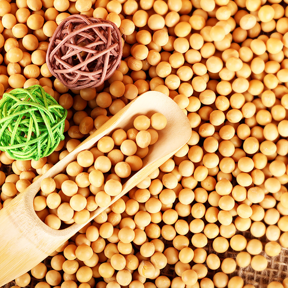 天地粮人有机黄豆330g*1包 豆浆豆 可发豆芽 粗粮杂粮