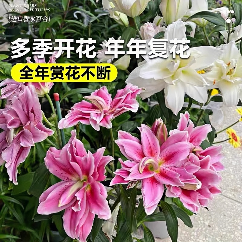潮流精品,品质保证