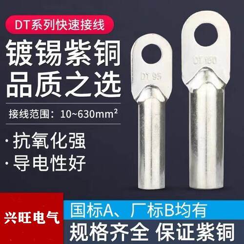 DT10-4铜鼻子电缆接线端