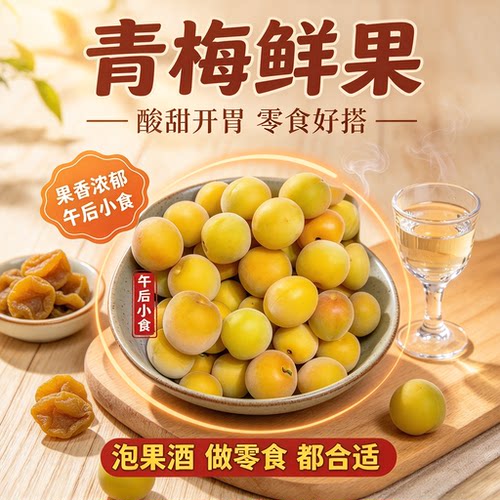 轻加工青梅鲜果泡酒半成品蜜饯酸梅子酿酒青竹梅大果黄梅零食开胃