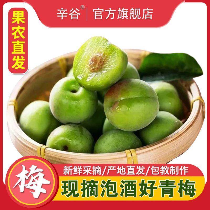 青梅果新鲜青梅大理富硒散装酸梅子泡酒青梅酒酵素果酱生梅子鲜果