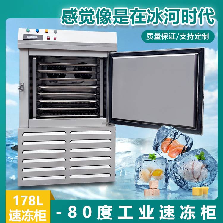 304不锈钢-80℃工业速冻冰柜小型食品厂海鲜水饺速冻机