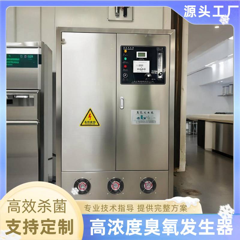 臭氧发生器消毒灭菌工业级高浓度泳池水产养殖桶装自来水厂活氧机