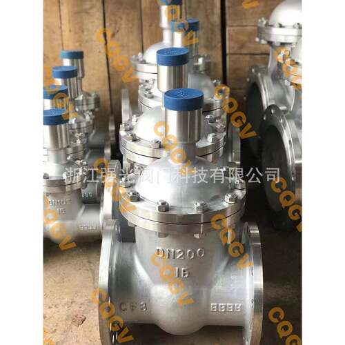 FDZ45H-16P，FDZ45H-25P,不锈钢防盗闸阀,不锈钢防盗锁闭闸阀,304