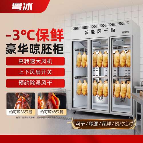 粤冰晾鸭柜商用烧鹅烧鸭烧腊挂肉柜保鲜烘干烤鸭风干冷藏智能晾胚