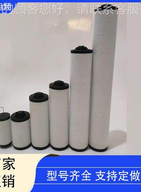 真空泵滤芯R503002D真空泵油雾2分离00302D器5314159