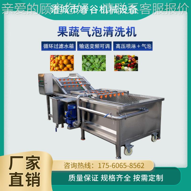 龙虾泡清自洗机全气动果蔬清洗机毛分选清洗机豆翻JGH浪式清洗机