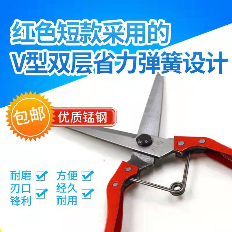 兽用羊毛剪羊剪毛修毛手动剪子家用宠物专业剪羊毛专用剪刀工业用