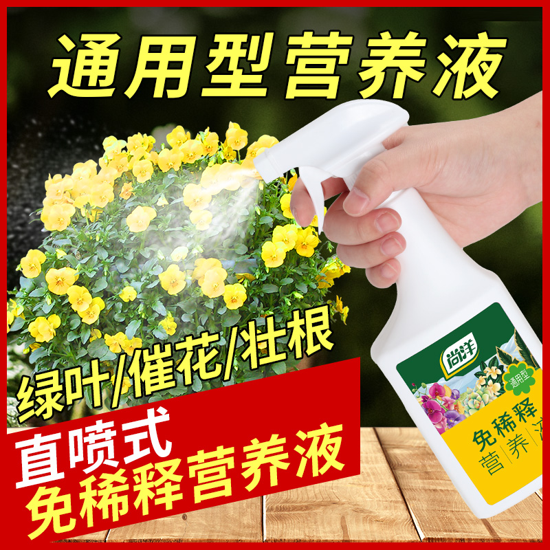 营养液植物通用型免稀释花肥发财树富贵竹绿萝盆栽绿植家用花肥料