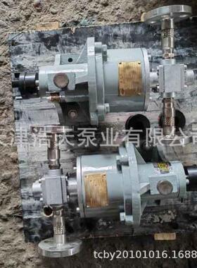 磁力计量齿轮泵TDPS柴油机油胶水沥青树脂稠油白油齿轮泵