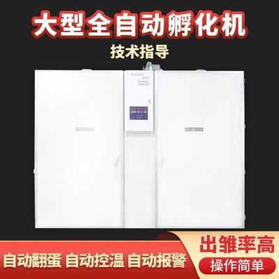 全自动大型鸡蛋孵化机 微型孵化器 供应全自动19200孵化机器