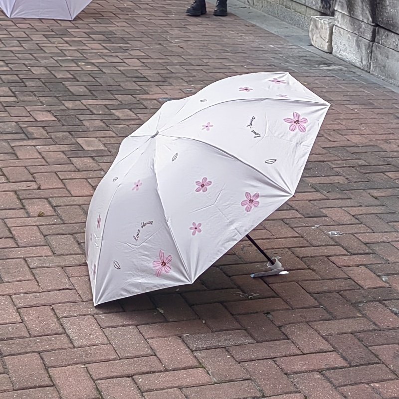 天堂伞新款小清新花朵折叠伞便携晴雨伞两用伞遮阳伞八骨加固雨伞