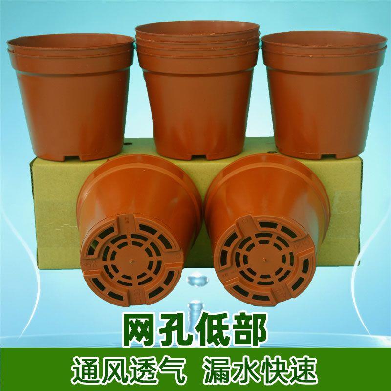 C款育苗花盆营养杯苗盘塑