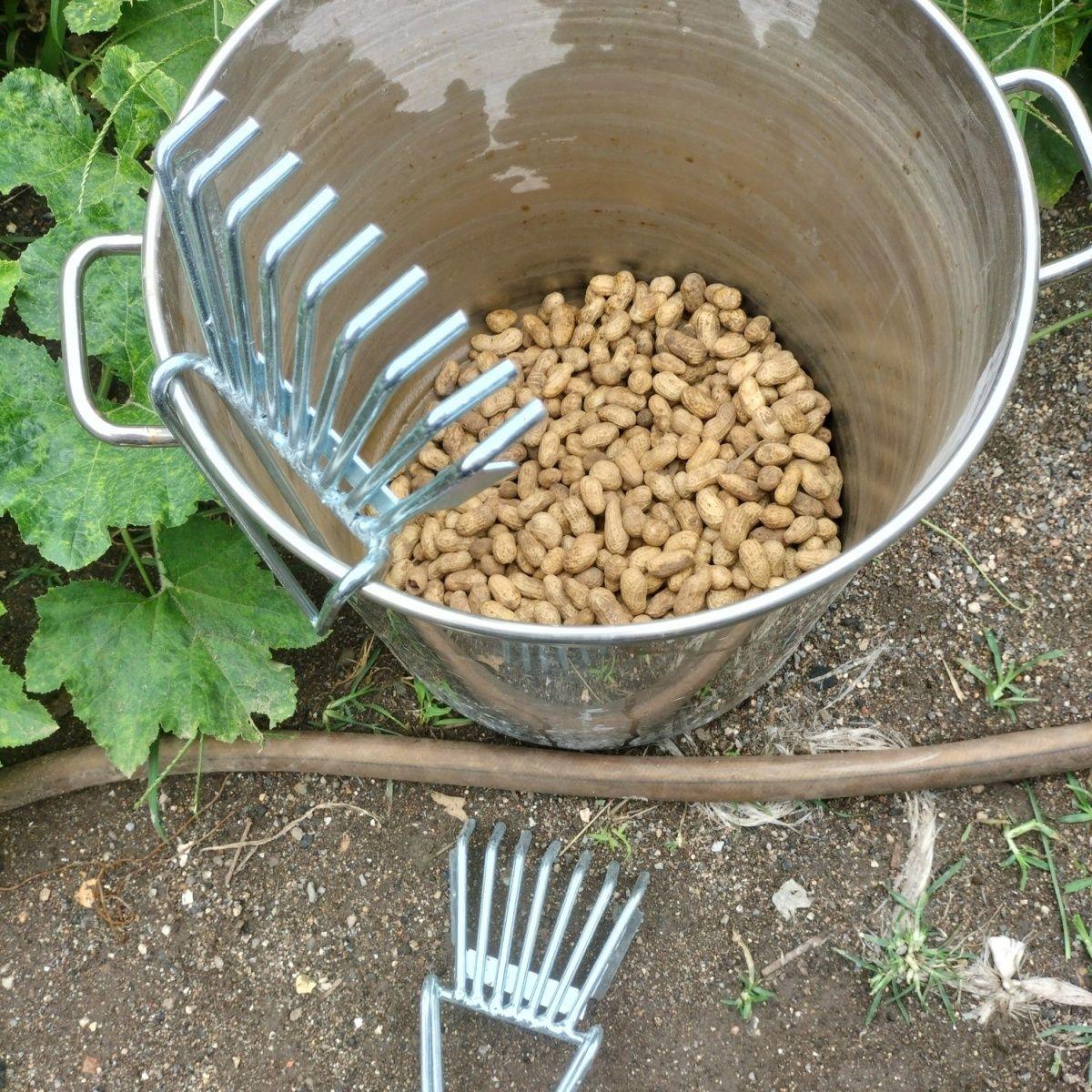 摘菜剥毛豆神器采摘机铁