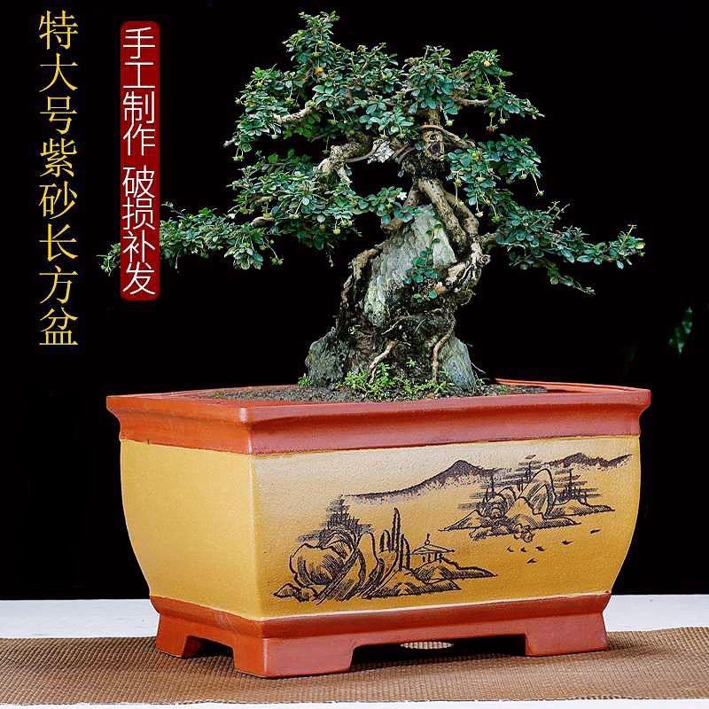 紫砂花盆长方形马槽盆景