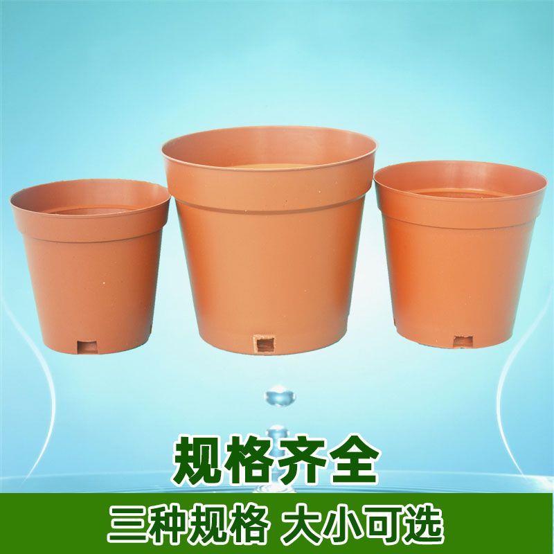 七十至一百二十五个D款育