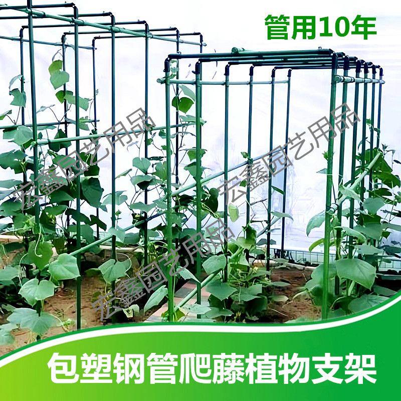 门型爬藤植物支架包塑钢