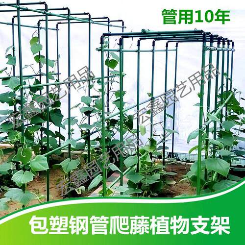 门型爬藤植物支架包塑钢