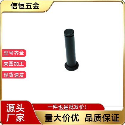 MIC11-D8 D10-L18 L20 L22L24 L25 L30 L35 L40L45 L50带肩铰链销