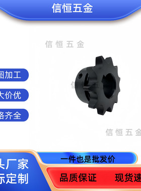 链轮SP35B26/28/30-N-15/16/17/18/19/20/22/24/25/28/30/32/