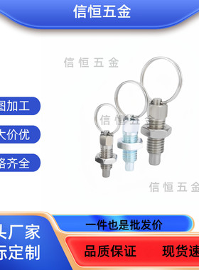 拉环型ZAC40/ZAC41/ZAC42/ZAC43/44/45-M6 M8 M10 M12 分度销