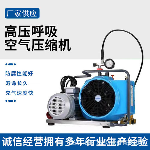 便携式高压空气压缩机救援潜水正压式空气呼吸器消防空气充填泵