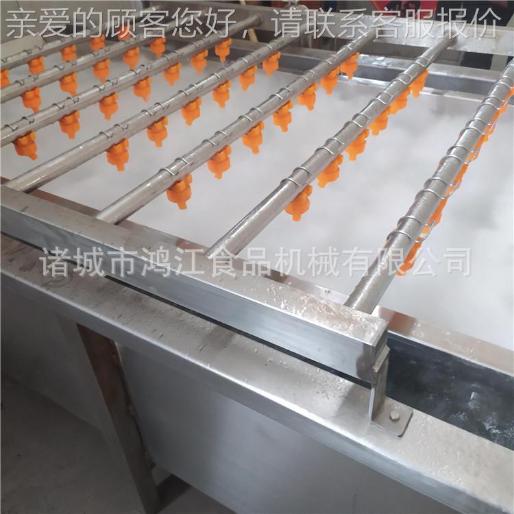 果蔬工设备 清冷冻食品加工加设备 水果洗机续连式大ZDJ型果蔬加