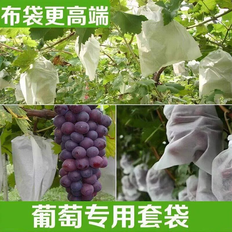 抽绳透气防虫防鸟防雨水果套袋
