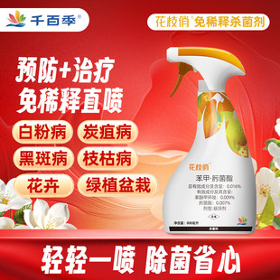 千百季花枝俏植物通用免稀释杀菌剂月季白粉病花药花卉除菌家用