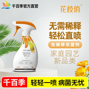 花枝俏植物通用免稀释杀菌剂月季 千百季 白粉病花药花卉除菌家用
