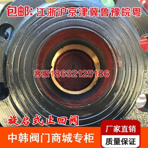 H44T-10/16铸铁旋启式止回阀 法兰单向阀DN40 50 65 80 100 150