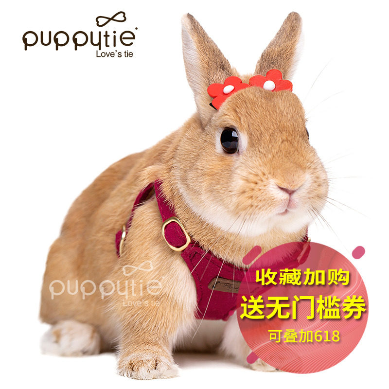 兔子牵引绳兔绳防挣脱兔链子可调节兔绳子遛兔绳侏儒兔宠物用品