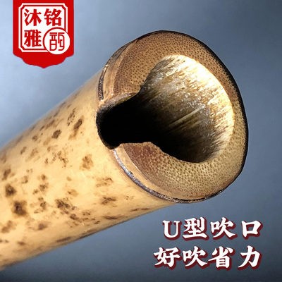 高档斑竹萧笛专业演奏湘妃竹箫洞萧乐器六八孔正反手g调f古风长潇