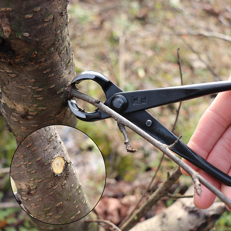 朱记球节剪球形剪专业盆景工具球钳盆栽造型树节修剪破枝剪不锈钢